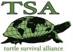 Turtle Survival Alliance - India logo